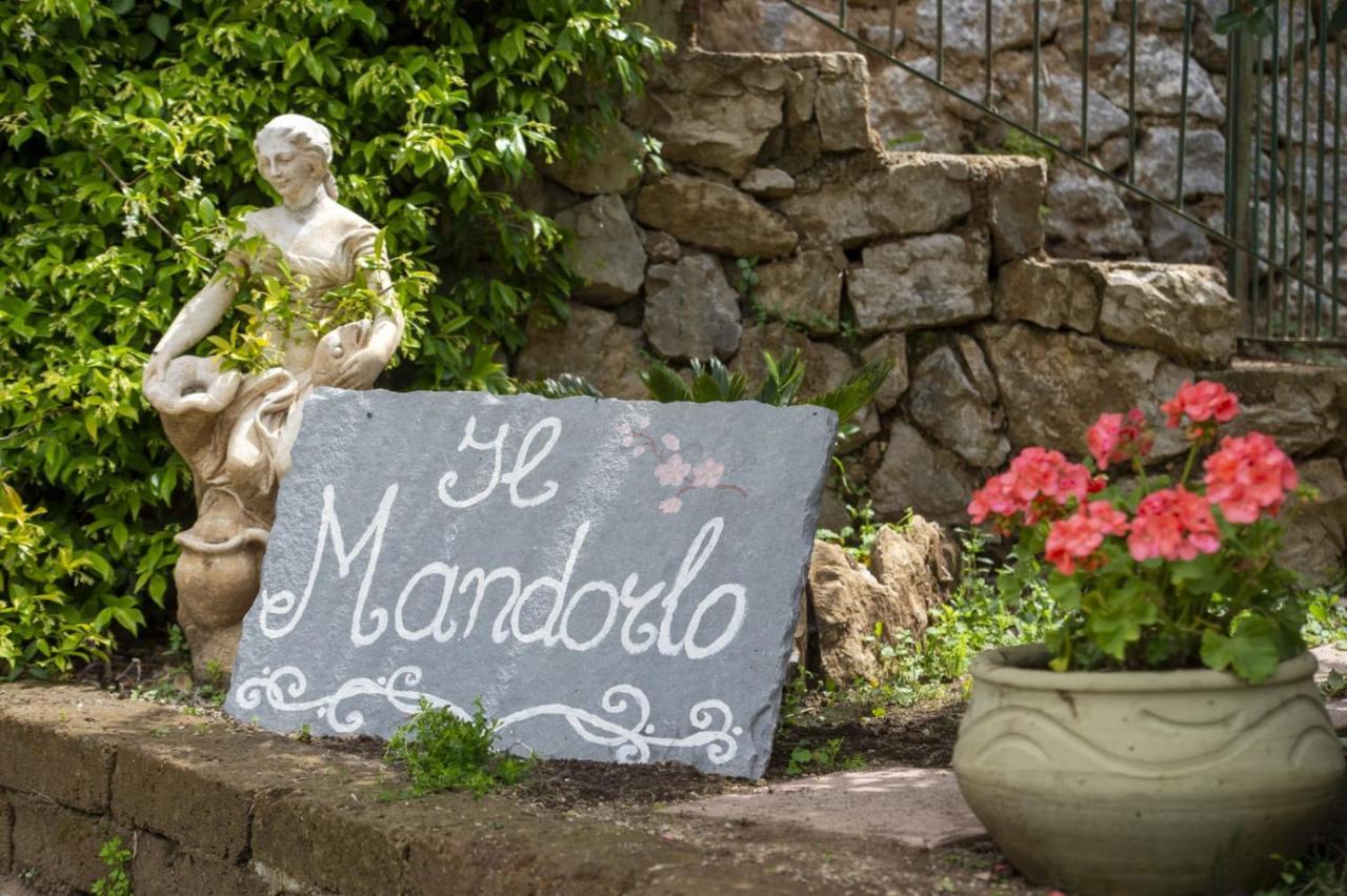 Il Mandorlo Bed & Breakfast Tramonti Dış mekan fotoğraf