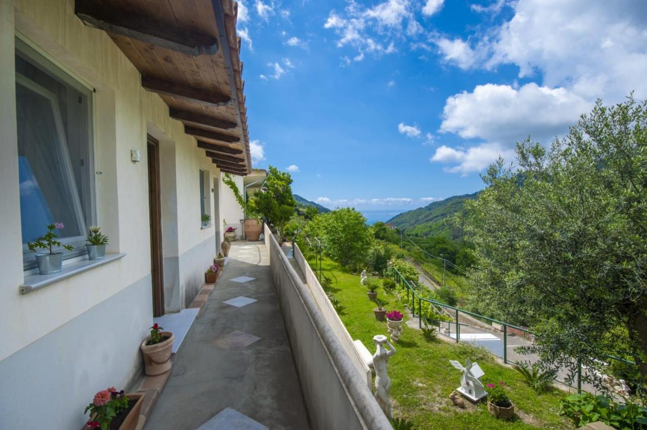 Il Mandorlo Bed & Breakfast Tramonti Dış mekan fotoğraf