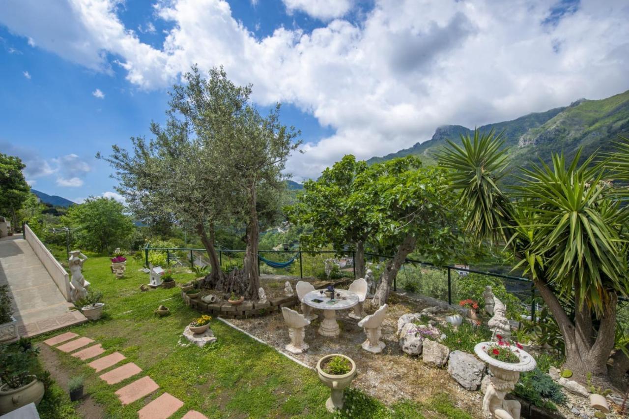 Il Mandorlo Bed & Breakfast Tramonti Dış mekan fotoğraf